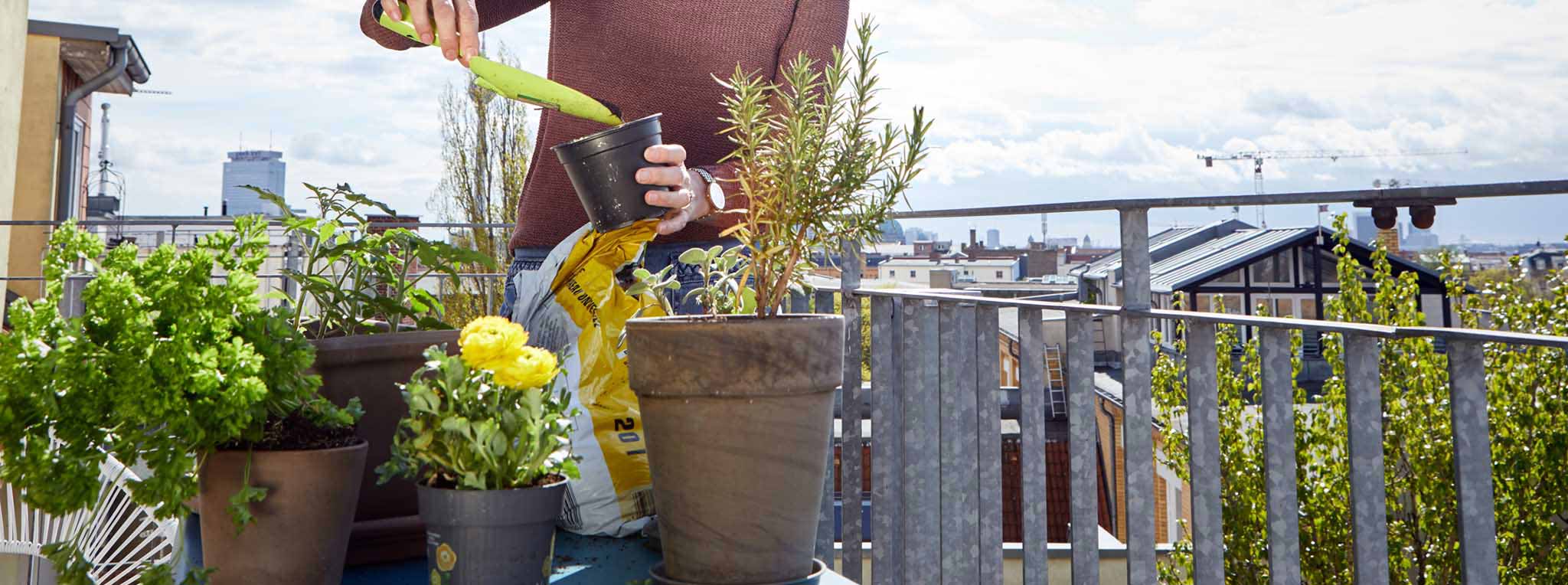 Person gardening on balcony