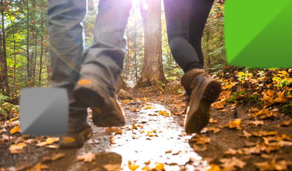 walking through the forest