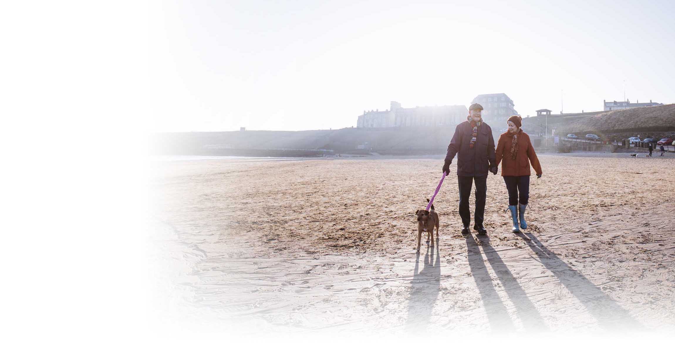 people walking on beach with dog